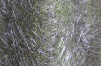 Barming fibreglass roof work